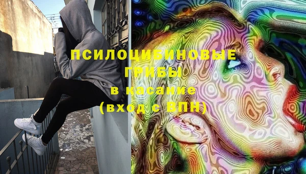 МДМА Белокуриха