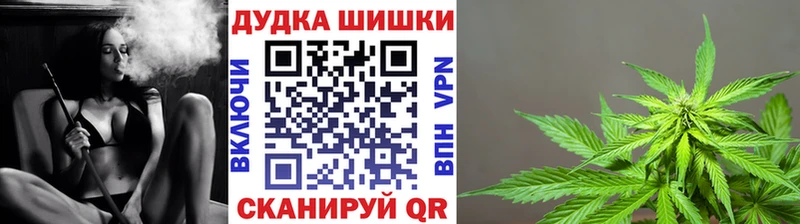 магазин продажи   Буинск  Каннабис планчик 